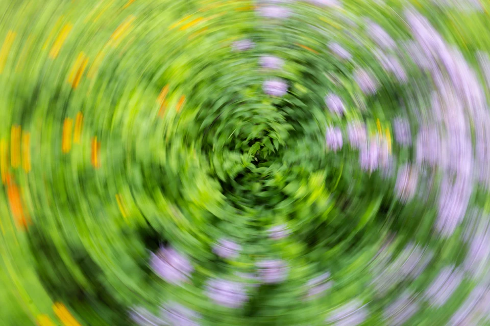 Green foliage and pale purple flowers turn into a circular blur.