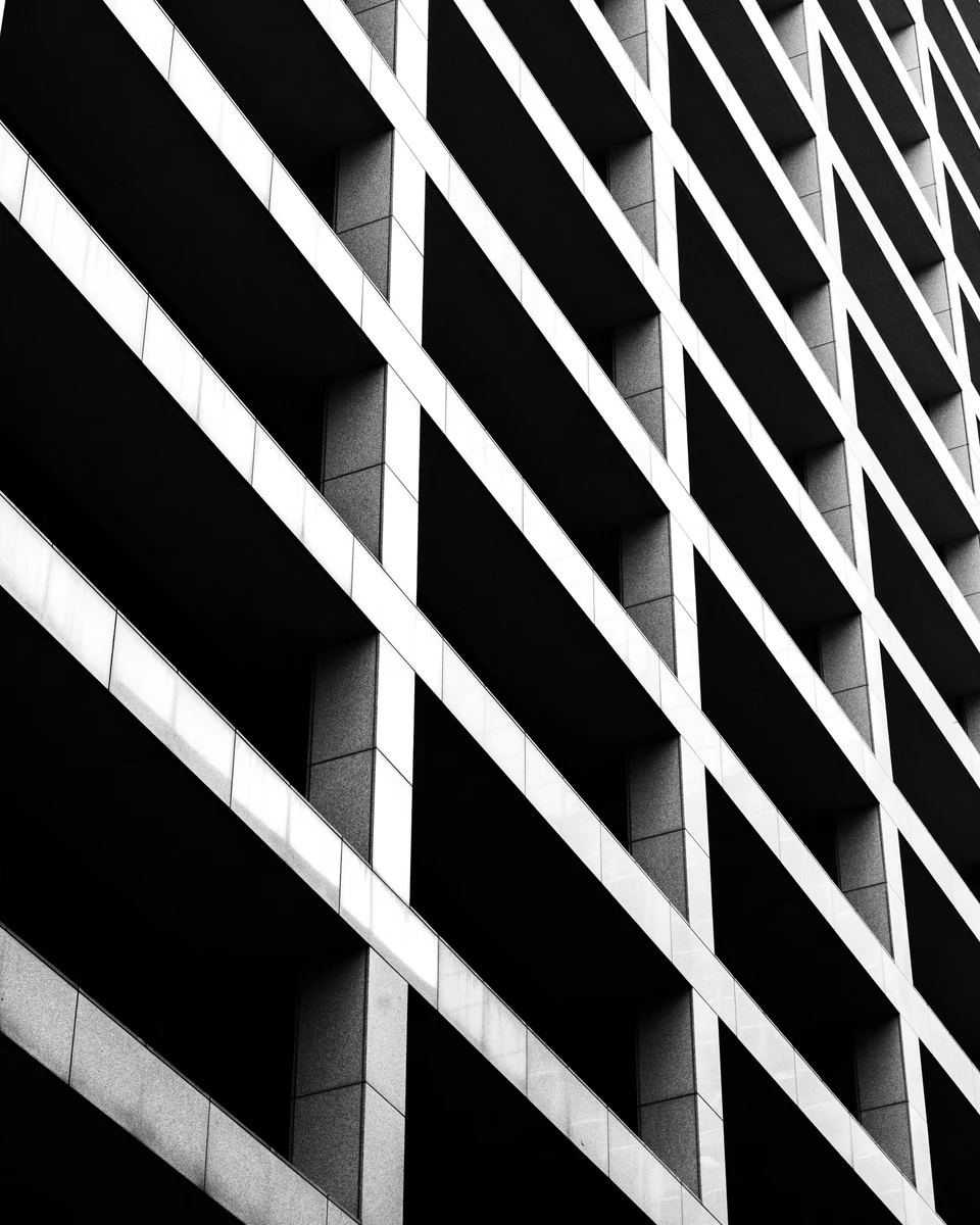 A black-and-white lattice of diagonal and vertical building lines.