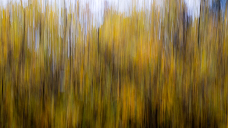 Autumn colors stretch into vertical bands of blurred yellow and gray.