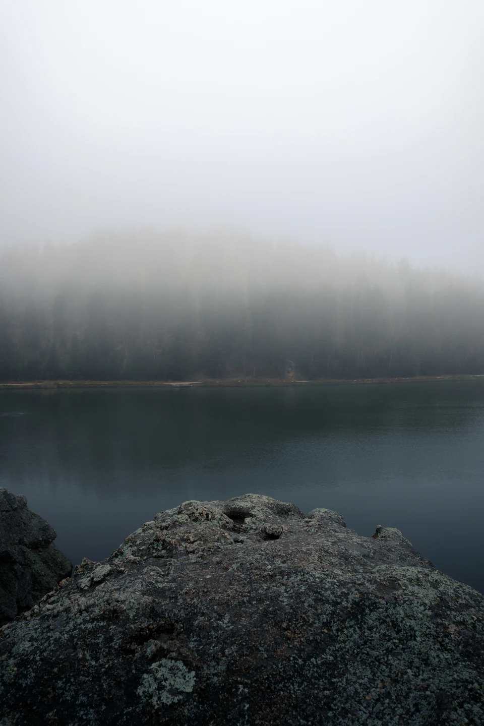 A single dark boulder sits beside still water and a mist-covered forest.