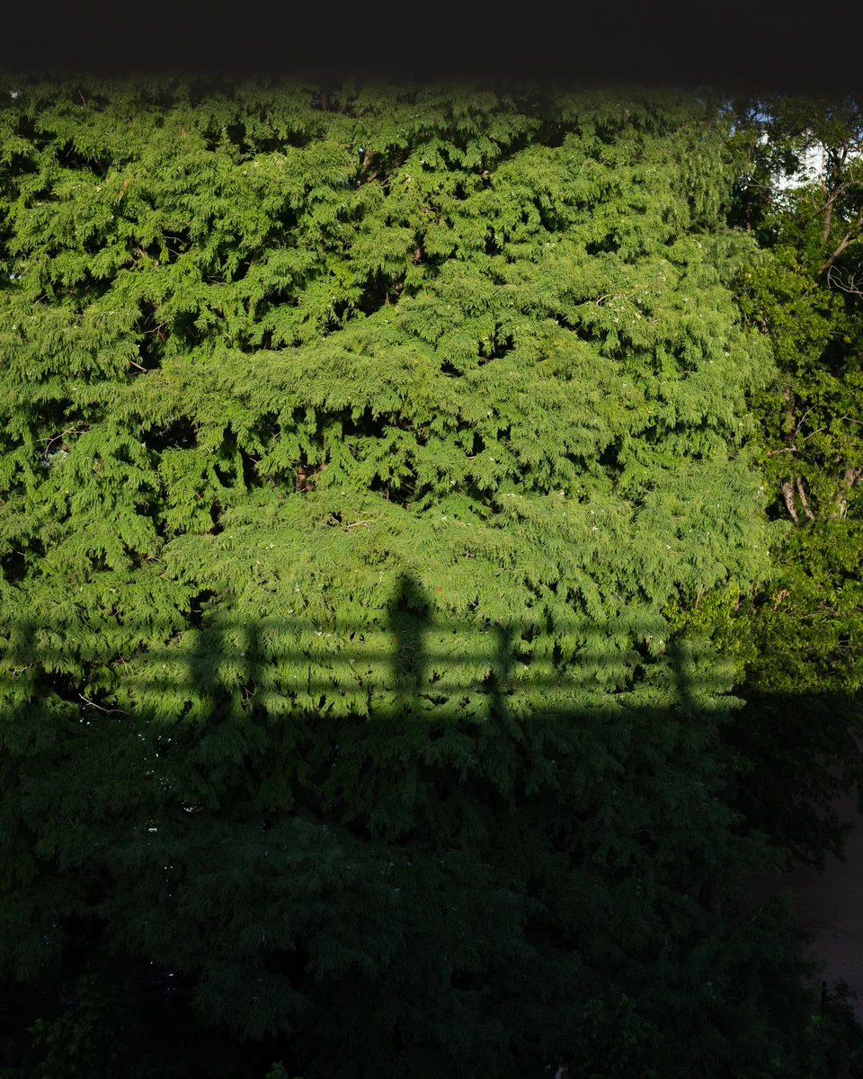 Human shadows fall across a bright green wall framed by darkness.