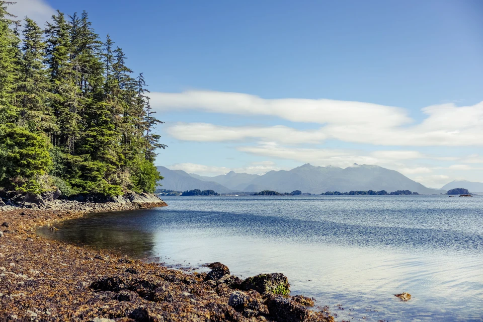 A quiet rocky shore opens toward distant snowy mountains.