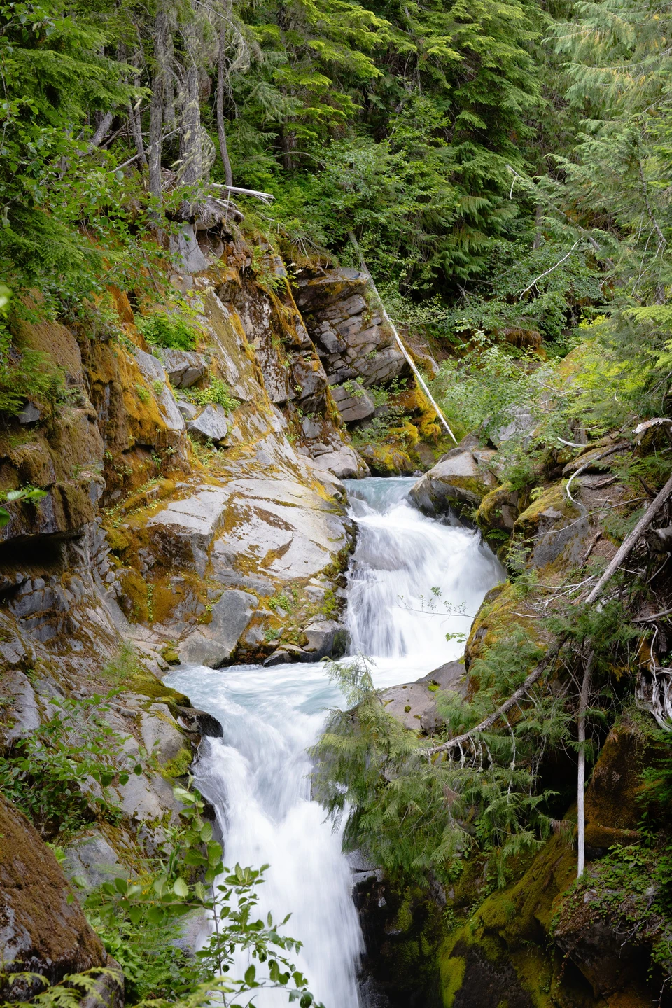 White water winds through a narrow gorge of moss-covered stone.
